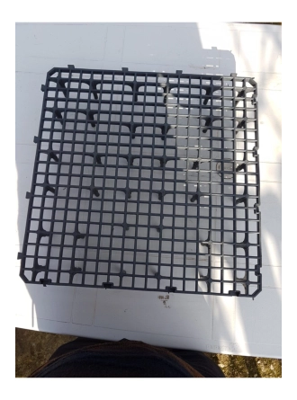 Kümes Taban Izgara En Kalın 1 M2 4 Adet 50×50 8 Cm Yükseklik Tavuk Güvercin