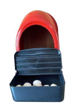 Plastik Duvara Asılan Tavuk Folluğu