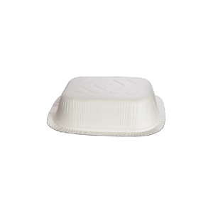 02 No Karton Tabak (500 Adet)