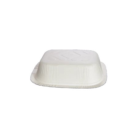 02 No Karton Tabak (500 Adet)