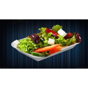 Köpük Tabak 500 gr. MD 2  (250 Adet)