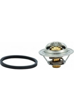 VALEO 820471 | Peugeot 406 2.0 16V Benzinli Termostat Orijinal