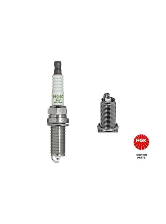 NGK 7113 | Buji 01-206-307-406-407-Expert-C4-C5 2.0 16V (Lfr5b / Kutu:10Ad) | 10 Adet