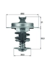 MAHLE TX6783D | Termostat 83°C Prt-Brl-Expr-Jmpy-Scd-Bxr-Dct-Jmp 1.9D-TD 2.0Hdi-JTD