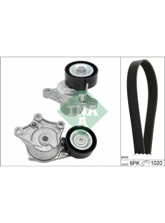 INA 529032310 | Kanallı Kayış Kit (2 Rulman + Kayış) Dv6c 208 308 508 3008 5008 Tepe Ds3 Ds4 Ds5 Berlingo