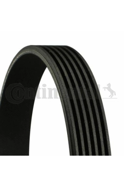 CONTINENTAL CTAM 6PK800 | V Kayışı 04-206-207-307-308-107-1007-C1-C2-C3-C4-Fıe-Fcs-Cmax 1.4-1.6Hdi-Ac