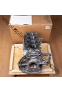 PSA 1610032980 | Citroen C-Elyse 1.6 Dizel Euro 5 Motor Bloğu (Piston Sekmanlı) Orijinal Sıfır Faturalı