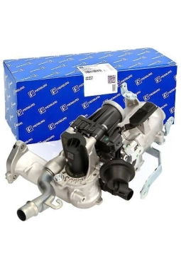 PIERBURG 7.02156.24.0 | Citroen C-Elysee 2012-2020 Egr Valfi Komple