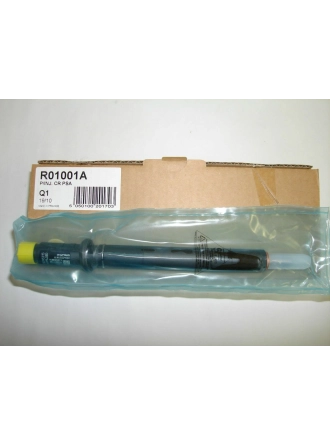DELPHI R01001A | Citroen C3 1.4 Hdi 16 Valf Enjektör Takımı