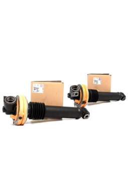 Citroen C5 2008-2015 Airmatic Ön Sağ/Sol Amortisör Takımı (Hidrolik Tip) Orijinal