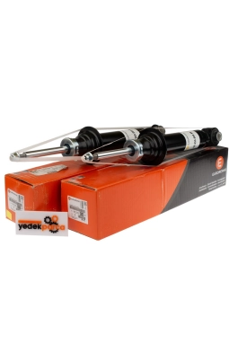 EUROREPAR 1623322280 | Citreon C5 2008-2015 Arka Amortisör Takımı (Sağ-Sol) Orijinal