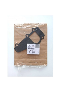 PSA 1340.51 | Citroen Berlingo 2003-2009 2.0 Hdi Termostat Kütük Contası Orijinal