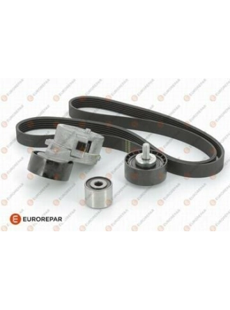 PSA 1613845780 | Citroen Berlingo 2000-2003 1.9 Dizel V Kayış ve Gergi Kütük Set Orijinal