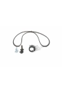 BOSCH 1987948914 | Eksantrik Rulman Kiti (Triger Seti) Fiesta IV / V 98-05 Fusion 02-05 1.25 16V / 1.4 16V Focus 98-05 1.4 16V / 1.6 16V Mazda 121 III 1.25 96-03 Volvo S40 II 1.6 05-12 Mazda II 1.25 / 1.4 / 1.6 03 -