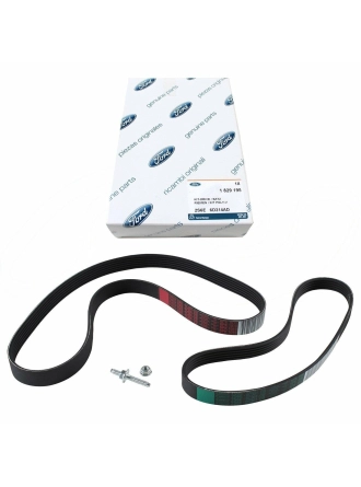 FORD OTOSAN 2S6E6D314AD | Fusion 20002-2013 1.6 Benzinli V Kayıs Seti (2 Adet Kayıs)