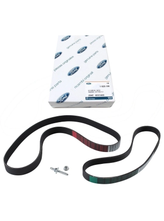 FORD OTOSAN 2S6E6D314AD | Fiesta 2002-2008 1.4 Benzinli V Kayıs Seti (2 Adet Kayıs)