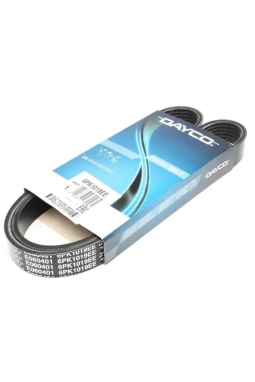 DAYCO 6PK1019EE | Ford Fiesta 2008-2012 1.4-1.6 Benzinli V Kayısı