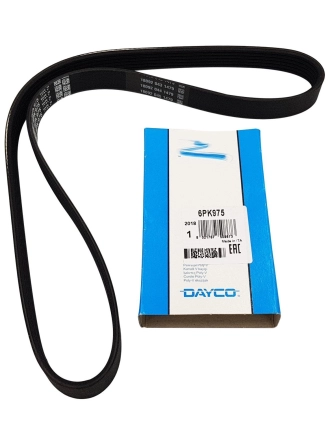 DAYCO 6PK975 | Ford Fiesta 2008-2012 1.4-1.6 Tdcı V kayışı