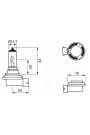 Bosch Ampul - Pure Light - 12 V - H11 - 55 W - PGJ19-2 H11