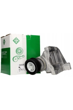 INA 534003210 | Ford Focus 1998-2002 V Kayış Gergi Kütüğü Komple Orjl