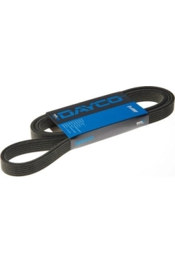 DAYCO 6PK1890 | Ford Focus 1998-2005 1.6 Zetec Benzinli V Kayısı