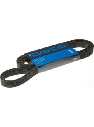DAYCO 6PK1890 | Ford Focus 1998-2005 1.6 Zetec Benzinli V Kayısı