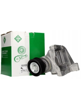 INA 534003210 | Ford Focus 2002-2004 V Kayış Gergi Kütüğü Komple Orjl
