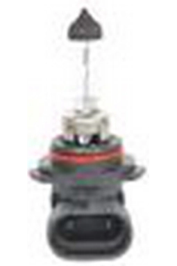 Bosch Ampul-Eco-12 V-Hb4-51 W-P22D