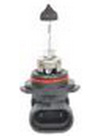 Bosch Ampul - Eco - 12 V - Hb4 - 51 W - P22D