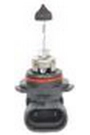 Bosch Ampul - Eco - 12 V - Hb4 - 51 W - P22D