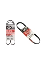 Ford Focus 2008-2011 1.6 Benzinli V Kayıs Takım ( 2 Adet) Gates Marka