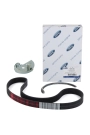 FORD OTOSAN AM5Q6D314AA | Focus 2011-2014 1.6 Benzinli 123 Ps V Kayıs Kiti