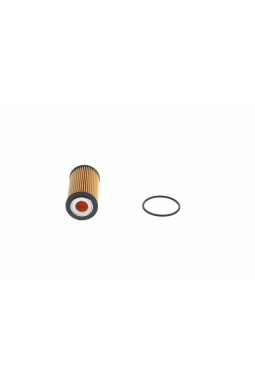 BOSCH F026407298 | Yağ Filtresi 19-Focus 1.5Ecoboost