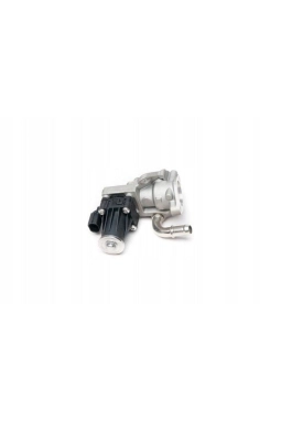 KALE 349105 | Ford V347 Transit 2007-2011 2.4 TDCI Egr Valfi (komple)