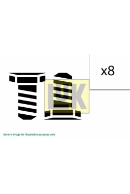 LUK 411012010 | Civata Takımı
