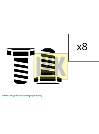 LUK 411012010 | Civata Takımı