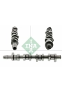 INA 428011010 | Eksantrik Mili Passat Caddy T5 A3 1.9 TDI (Axb Axc Avf Awx Bjb Bkc)