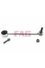 FAG 818031610 | Sağ Sol Arka Askı Rotu VW Caddy 04 -