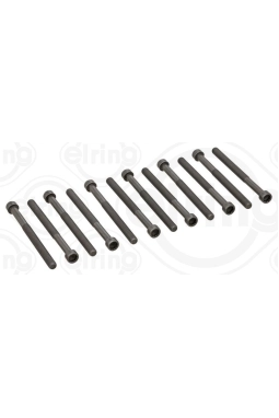 ELRING 326.430 | Silindir Kapak Saplaması VW 2.5Tdi T5 Axd,Axe (Set)