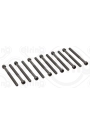ELRING 326.430 | Silindir Kapak Saplaması VW 2.5Tdi T5 Axd,Axe (Set)
