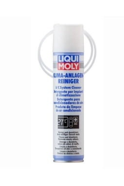 LIQUI MOLY 4087 | LIQUİ MOLY Klima Sistem Temizleyici Sprey 250 Ml (4087)