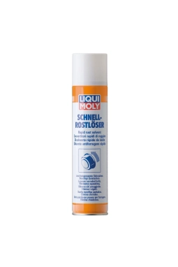 LIQUI MOLY 1612 | Pas Sökücü 300 ml (1612)