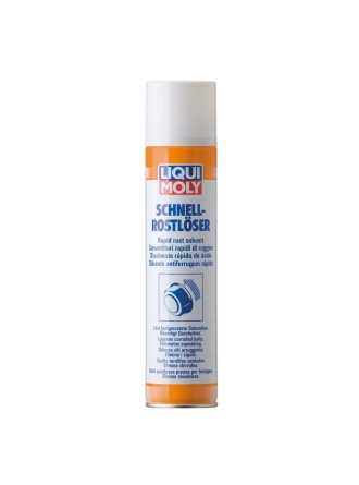 LIQUI MOLY 1612 | Pas Sökücü 300 ml (1612)