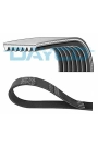 DAYCO 7PK1605 | Kanallı Kayış Captur I 13-Clio IV 12-Megane III 13-Duster 10-Dokker 12-0.9 TCE 1.2 TCE BMW E34 520İ 7 Pk 1605