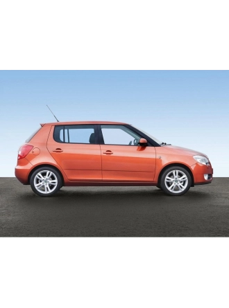 After Skoda Fabia 2 2007-2014 Kol Dayama Kolçak Kapağı Bej Kumaş 6R0867173
