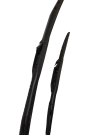 Sentinel Toyota Auris Ön Cam Sileceği 2012- Takım 65 cm + 35 cm