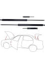 Hervin Volkswagen Golf V Bagaj Amortisörü  - Model Yılı  04 > 08 - Oem No: 1K6827550D