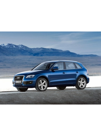 YYO Audi Q5 Kaput Amortisörü 2009-2016 (2 Adet)