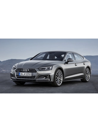 YYO Audi A5 Kaput Amortisörü 2016-2020 (2 Adet)