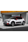 YYO Citroen C3 Bagaj Amortisörü 2016 ve Sonrası (2 Adet)